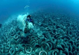 Nuestra Basura termina en el Mar