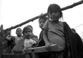 Un lugar en donde vivir: Migración infantil – Pt.1