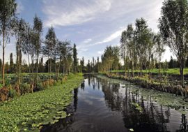 Crisis ambiental en la Ciudad de México – Agua