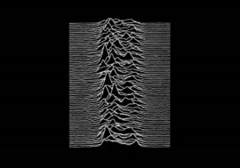 Joy Division – ¿Grupo de culto o cultura pop?