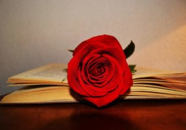 Fiesta del Libro y la Rosa en la UNAM