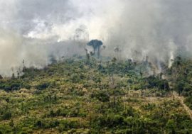 Desde el G7 “chocan” contra Bolsonaro por la Amazonia