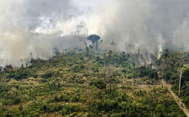 Desde el G7 “chocan” contra Bolsonaro por la Amazonia